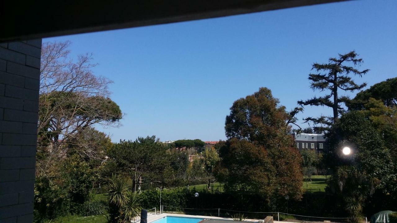 Aurelia Garden
